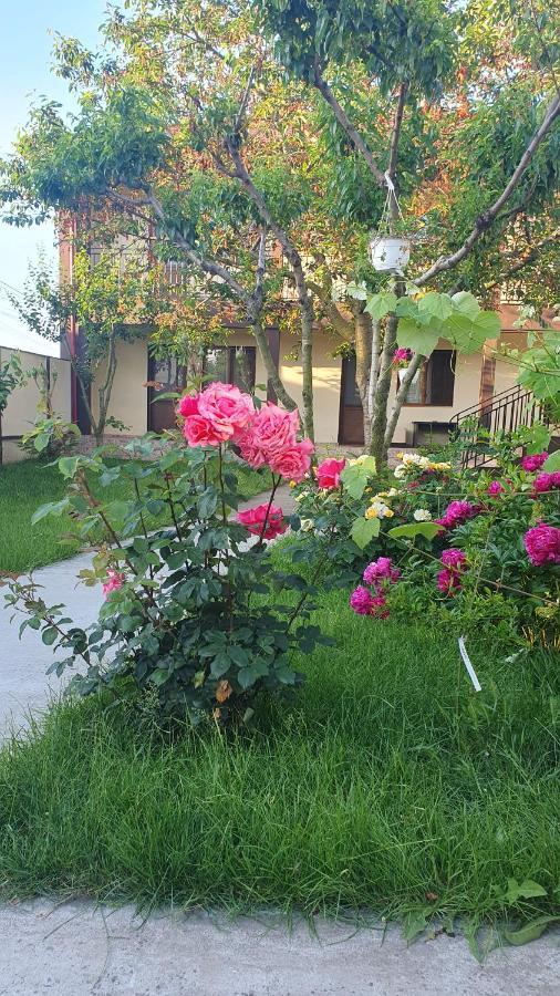 La Babusca Hotell Două Mai Eksteriør bilde