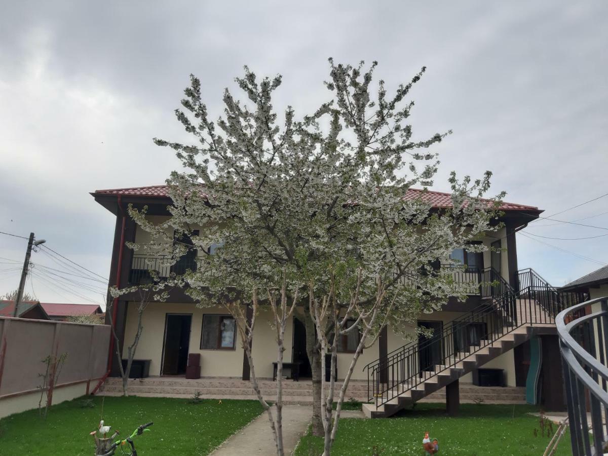 La Babusca Hotell Două Mai Eksteriør bilde